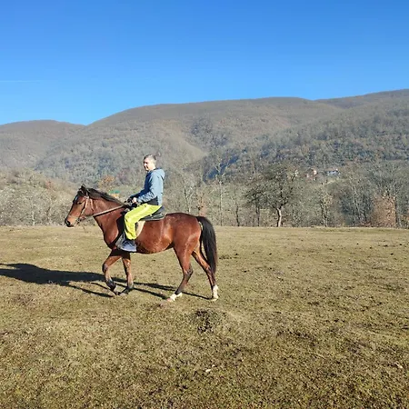 Seoski Turizam Zilicina Pensjonat Rogatica