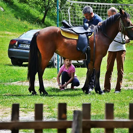 Seoski Turizam Zilicina Pensjonat Rogatica