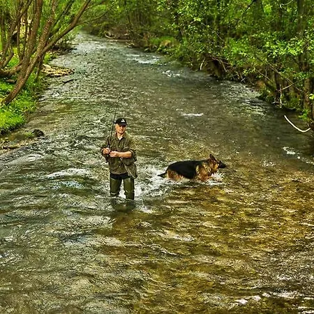 Pensjonat Seoski Turizam Zilicina