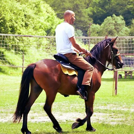 Pensjonat Seoski Turizam Zilicina