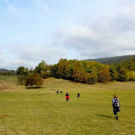 Seoski Turizam Zilicina 3*