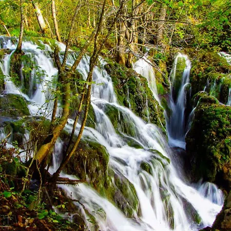 Seoski Turizam Zilicina 3*