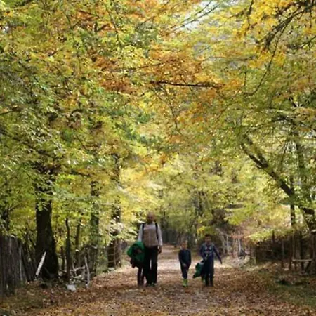 بيت ضيافة Seoski Turizam Zilicina Rogatica