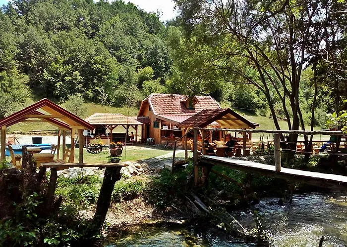 Seoski Turizam Zilicina 招待所 3*